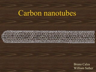 Carbon nanotubes




               Bruno Calza
               William Sather
 