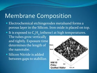 Membrane CompositionElectrochemical etchingerodes metalsand forms a porous layer in the Silicon. Iron oxide is placed on top.It is exposed to C2H4 (ethene) at high temperatures. The tubes grow verticallyand tightly. Exposure timedetermines the length ofthe nanotube.Silicon Nitride is addedbetween gaps to stabilize.