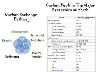 Carbon Pools in The Major
Reservoirs on Earth
Atmosphere
Terrestrial
biosphere
Earth's
interiorSediments
Oceans
Carbon Exchange
Pathway
 