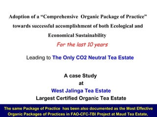 Adoption of a “Comprehensive Organic Package of Practice”
towards successful accomplishment of both Ecological and
Economical Sustainability
A case Study
at
West Jalinga Tea Estate
Largest Certified Organic Tea Estate
For the last 10 years
The same Package of Practice has been also documented as the Most Effective
Organic Packages of Practices in FAO-CFC-TBI Project at Maud Tea Estate,
Leading to The Only CO2 Neutral Tea Estate
 