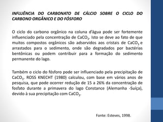 INFLUÊNCIA DO CARBONATO DE CÁLCIO SOBRE O CICLO DO
CARBONO ORGÂNICO E DO FÓSFORO
O ciclo do carbono orgânico na coluna d’água pode ser fortemente
influenciado pela concentração de CaCO3. Isto se deve ao fato de que
muitos compostos orgânicos são adsorvidos aos cristais de CaCO3 e
arrastados para o sedimento, onde são degradados por bactérias
bentônicas ou podem contribuir para a formação do sedimento
permanente do lago.
Também o ciclo do fósforo pode ser influenciado pela precipitação de
CaCO3. ROSS KNECHT (1980) calculou, com base em vários anos de
pesquisa, que pode ocorrer redução de 15 a 26% da concentração de
fosfato durante a primavera do lago Constance (Alemanha -Suíça),
devido à sua precipitação com CaCO3.
Fonte: Esteves, 1998.
 