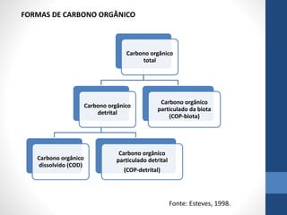 FORMAS DE CARBONO ORGÂNICO
Fonte: Esteves, 1998.
Carbono orgânico
total
Carbono orgânico
detrital
Carbono orgânico
dissolvido (COD)
Carbono orgânico
particulado detrital
(COP-detrital)
Carbono orgânico
particulado da biota
(COP-biota)
 