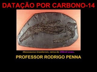 DATAÇÃO POR CARBONO-14 PROFESSOR RODRIGO PENNA Mesosaurus brasiliensis , cerca de   250mil anos . 