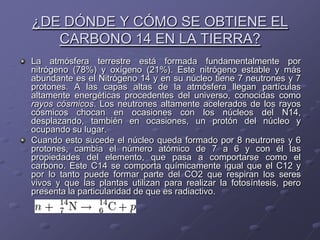 ¿DE DÓNDE Y CÓMO SE OBTIENE EL
   CARBONO 14 EN LA TIERRA?
La atmósfera terrestre está formada fundamentalmente por
nitrógeno (78%) y oxígeno (21%). Este nitrógeno estable y más
abundante es el Nitrógeno 14 y en su núcleo tiene 7 neutrones y 7
protones. A las capas altas de la atmósfera llegan partículas
altamente energéticas procedentes del universo, conocidas como
rayos cósmicos. Los neutrones altamente acelerados de los rayos
cósmicos chocan en ocasiones con los núcleos del N14,
desplazando, también en ocasiones, un protón del núcleo y
ocupando su lugar.
Cuando esto sucede el núcleo queda formado por 8 neutrones y 6
protones, cambia el número atómico de 7 a 6 y con él las
propiedades del elemento, que pasa a comportarse como el
carbono. Este C14 se comporta químicamente igual que el C12 y
por lo tanto puede formar parte del CO2 que respiran los seres
vivos y que las plantas utilizan para realizar la fotosíntesis, pero
presenta la particularidad de que es radiactivo.
 