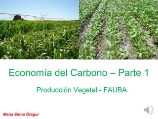 Economía del Carbono – Parte 1
Producción Vegetal - FAUBA
María Elena Otegui
 