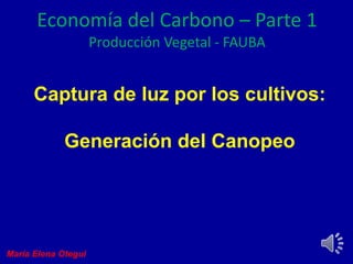 Captura de luz por los cultivos:
Generación del Canopeo
Economía del Carbono – Parte 1
Producción Vegetal - FAUBA
María Elena Otegui
 