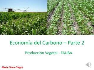 Economía del Carbono – Parte 2
Producción Vegetal - FAUBA
María Elena Otegui
 