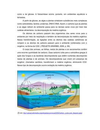 como a da glicose. A fotossíntese ocorre, portanto, em ambientes aquáticos e
terrestres.
       A partir da glicose, as algas e plantas sintetizam substâncias mais complexas
como carboidratos, lipídios, proteínas, DNA E RNA. Assim, o carbono que as plantas
e as algas retiram do ambiente passa para os demais seres vivos por meio das
cadeias alimentares, na decomposição da matéria orgânica.
       Os átomos de carbono passam dos organismos dos seres vivos para o
ambiente por meio da respiração e também da decomposição da matéria orgânica.
Nessa transformação, as ligações entre os átomos das cadeias carbônicas se
rompem e os átomos de carbono passam para o ambiente combinados com o
oxigênio, na forma de CO2. ( PROJETO ARARIBÁ, 2006. p. 94).
       O corpo dos animais, as folhas, restos de plantas e os excrementos contêm
uma enorme quantidade de carbono. Esse carbono volta para a atmosfera graças à
ação dos fungos e as bactérias decompositores que obtêm nutrientes decompondo
restos de plantas e de animais. Os decompositores que vivem em presença de
oxigênio, chamados aeróbios, transformam a matéria orgânica, eliminando CO2.
Nesse tipo de decomposição ocorre oxidação da matéria orgânica.




(Fonte: http://upload.wikimedia.org/wikipedia/commons/5/55/Carbon_cycle-cute_diagram.jpeg)
 
