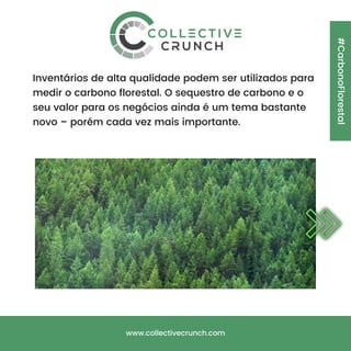 #CarbonoFlorestal
www.collectivecrunch.com
Inventários de alta qualidade podem ser utilizados para
medir o carbono florestal. O sequestro de carbono e o
seu valor para os negócios ainda é um tema bastante
novo – porém cada vez mais importante.
 