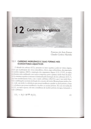 Carbono inorganico
