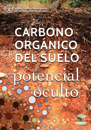 pages for web pdf cover
CARBONO
ORGÁNICO
DEL SUELO
potencial
oculto
el
 