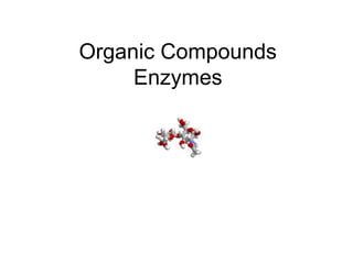 Organic Compounds
Enzymes

 