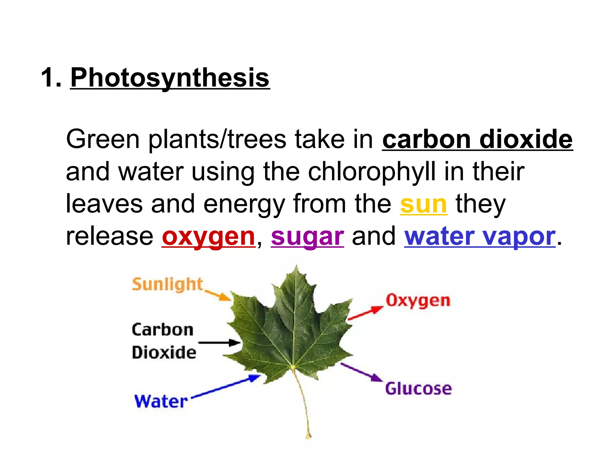 1. Photosynthesis
Green plants/trees take in carbon dioxide
and water using the chlorophyll in their
leaves and energy from the sun they
release oxygen, sugar and water vapor.
 