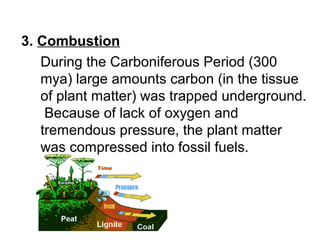 3. Combustion
During the Carboniferous Period (300
mya) large amounts carbon (in the tissue
of plant matter) was trapped underground.
Because of lack of oxygen and
tremendous pressure, the plant matter
was compressed into fossil fuels.
 