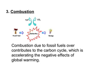 3. Combustion
Combustion due to fossil fuels over
contributes to the carbon cycle, which is
accelerating the negative effects of
global warming.
 