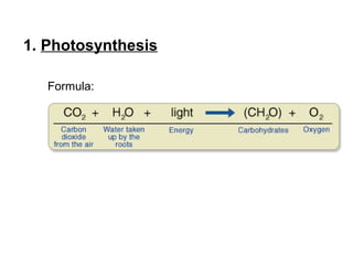 1. Photosynthesis
Formula:
 