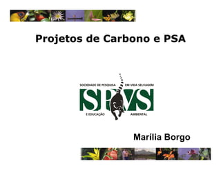 Projetos de Carbono e PSA




                Marília Borgo
 