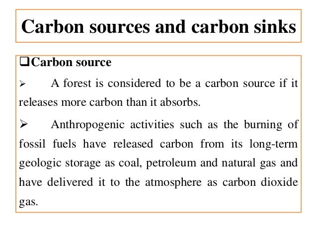 Carbon Sequestration And Its Types