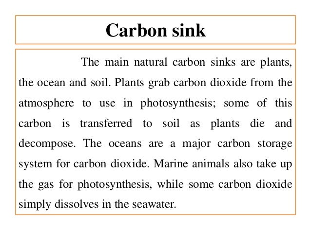 Carbon Sequestration And Its Types