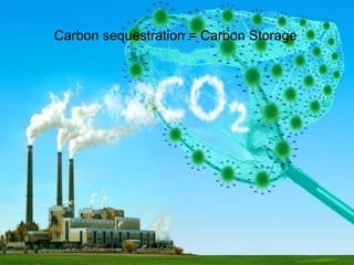 Carbon sequestration = Carbon Storage
 