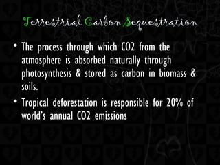 Terrestrial Carbon Sequestration
• The process through which CO2 from the
atmosphere is absorbed naturally through
photosynthesis & stored as carbon in biomass &
soils.
• Tropical deforestation is responsible for 20% of
world’s annual CO2 emissions
 