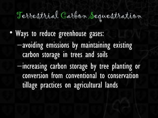 Terrestrial Carbon Sequestration
• Ways to reduce greenhouse gases:
–avoiding emissions by maintaining existing
carbon storage in trees and soils
–increasing carbon storage by tree planting or
conversion from conventional to conservation
tillage practices on agricultural lands
 