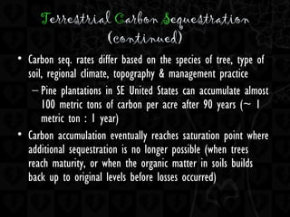 Terrestrial Carbon Sequestration
(continued)
• Carbon seq. rates differ based on the species of tree, type of
soil, regional climate, topography & management practice
– Pine plantations in SE United States can accumulate almost
100 metric tons of carbon per acre after 90 years (~ 1
metric ton : 1 year)
• Carbon accumulation eventually reaches saturation point where
additional sequestration is no longer possible (when trees
reach maturity, or when the organic matter in soils builds
back up to original levels before losses occurred)
 