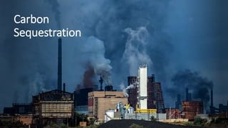 Carbon
Sequestration
 