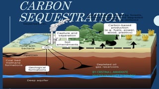 CARBON
SEQUESTRATION
BY: CRISTINA L. AMARANTE
MASTEROF SCIENCE IN BIOLOGY
 