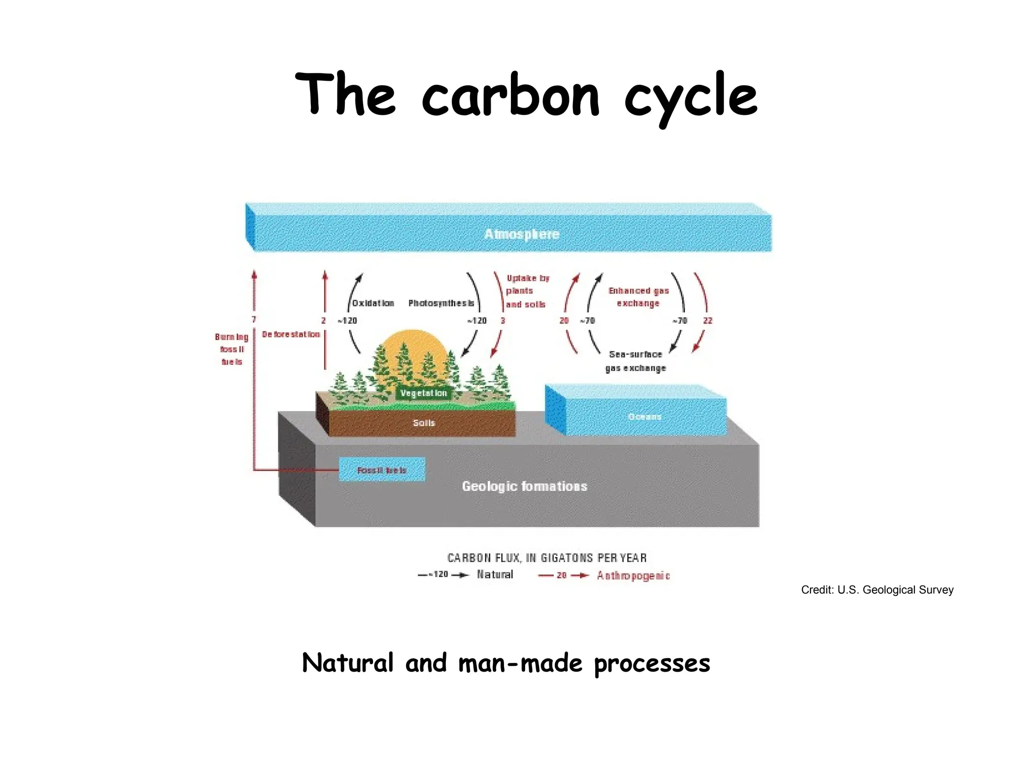 The carbon cycle
Natural and man-made processes
Credit: U.S. Geological Survey
 