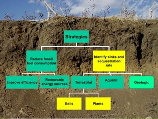 Strategies to Reduce
Atmospheric CO2
Strategies
Reduce fossil
fuel consumption
Identify sinks and
sequestration
rate
Improve efficiency
Renewable
energy sources Terrestrial
Aquatic
Soils Plants
Geologic
 