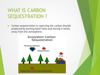 WHAT IS CARBON
SEQUESTRATION ?
 Carbon sequestration is capturing the carbon dioxide
produced by burning fossil fuels and storing it safely
away from the atmosphere.
 