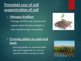 Potential cost of soil
sequestration of soil
 Nitrogen fertilizer
Nitrogen fertilizer can increase soil
organic matter because nitrogen is
often limited in agro ecosystems.
 Growing plants on semi-arid
lands
Growing plants on semiarid lands
has been suggested as a way to
increase carbon storage in soils.
 