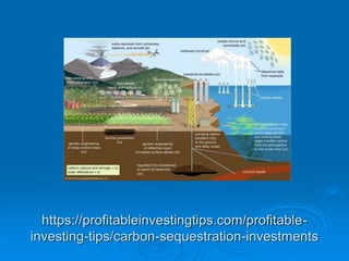 https://profitableinvestingtips.com/profitable-
investing-tips/carbon-sequestration-investments
 