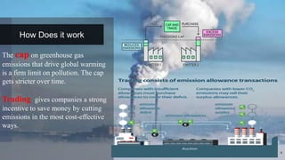Carbon Tax and Trading.pptx