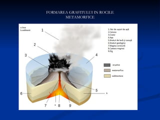 FORMAREA GRAFITULUI IN ROCILE METAMORFICE 