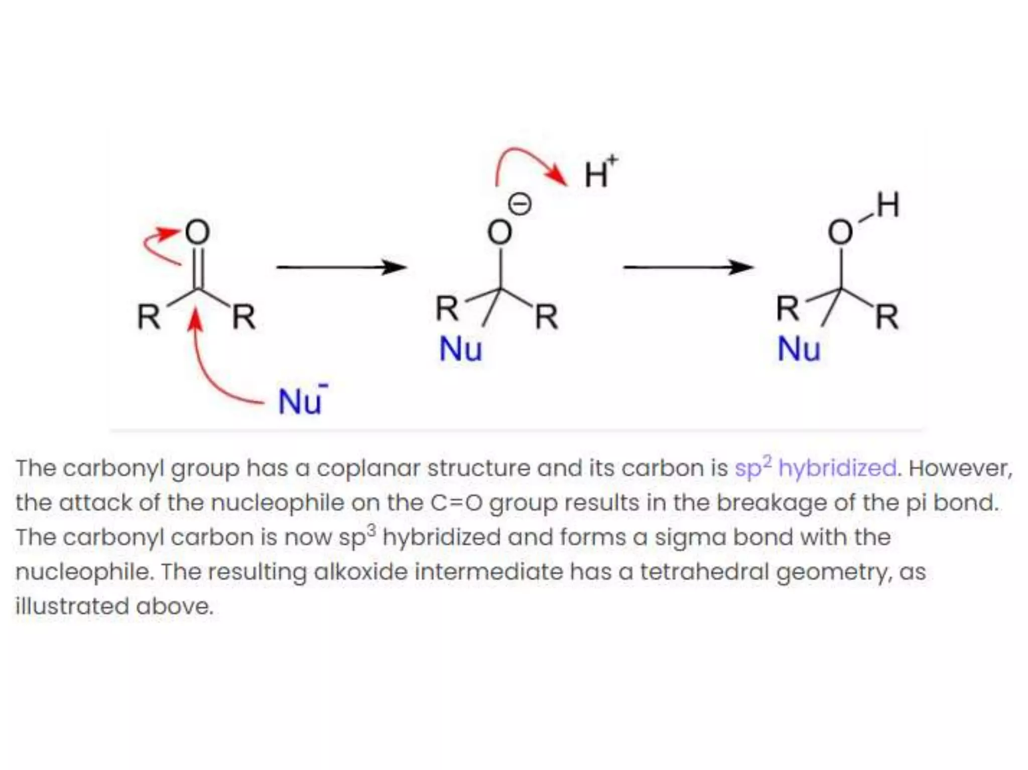 Carbonyl Compounds pptx
