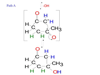 C
H
H
H
C
O
H H
C
C
C
C
H
H
O
3
-
-OHPath A
C
H
H
H
C
O
H H
C
C
C
C
H
H
OH
3
 
