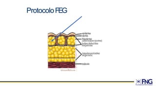 ProtocoloFEG
 