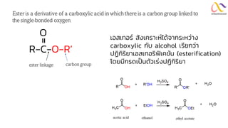 O
R-C-O-R’
=
Ester is a derivative of a carboxylic acid in which there is a carbon group linked to
the single-bonded oxygen
carbon group
ester linkage
เอสเทอร์ สังเคราะห์ได้จากระหว่าง
carboxylic กับ alcohol เรียกว่า
ปฏิกิริยาเอสเทอริฟิเคชัน (esterification)
โดยมีกรดเป็นตัวเร่งปฏิกิริยา
 