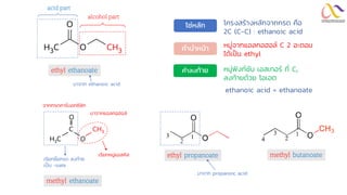 O
C CH3
H3C O
มาจากแอลกอฮอล์
จากกรดคาร์บอกซิลิก
เรียกหมู่แอลคิล
เรียกชื่อกรด ลงท้าย
เป็น -oate
methyl ethanoate
ethyl ethanoate
C
H3 O
O
CH3
โครงสร้างหลักจากกรด คือ
2C (C-C) : ethanoic acid
หมู่จากแอลกอฮอล์ C 2 อะตอม
ได้เป็น ethyl
หมู่ฟังก์ชัน เอสเทอร์ ที่ C1
ลงท้ายด้วย โอเอต
โซ่หลัก
คำลงท้ำย
คำนำหน้ำ
ethanoic acid = ethanoate
ethyl propanoate
มาจาก propanoic acid
methyl butanoate
มาจาก ethanoic acid
alcohol part
acid part
 