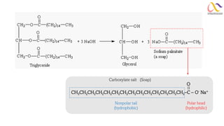O
CH3CH2CH2CH2CH2CH2CH2CH2CH2CH2CH2CH2CH2CH2-C - O-
Na+
=
Polar head
(hydrophilic)
Nonpolar tail
(hydrophobic)
Carboxylate salt (Soap)
 