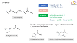 โครงสร้างหลัก คือ
6C (C-C) : hexane
หมู่ฟังก์ชัน amide ที่ C1
ลงท้ายด้วย amide
โซ่หลัก
คำลงท้ำย
คำนำหน้ำ
Hexane + amide = hexanamide
5 3 1
6 4 2
1-hexanamide
NH2
C
H3
O
Br
NH2
O
Cyclopentanecarboxamide 2-bromo-5-methylcyclohexane-1-carboxamide
1
2
6
3
5
4
1
2
C
H3
C
H3 NH2
O
4-ethylhexanamide
6 4 2
5 3 1
#1amide
When the amide group is connected to a ring, the suffix “carboxylic acid”
is replaced with “carboxamide”:
 