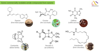 Piperine
(from black pepper)
Cocaine
(the coca bush)
Caffeine
(coffee and tea)
Cantharidin
(blister beetle)
Penicillin G
(an antibiotic)
Anandamide
(from chocolate)
Some commercially available amide compounds from natures
 