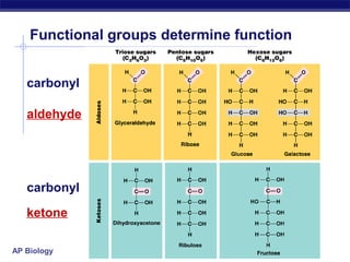Functional groups determine function


   carbonyl

   aldehyde




   carbonyl
   ketone

AP Biology
 