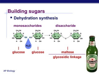 Building sugars
     Dehydration synthesis
        monosaccharides           disaccharide




                 H2O
          |               |               |
       glucose         glucose        maltose
                                 glycosidic linkage



AP Biology
 