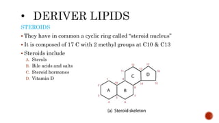 STEROIDS
 They have in common a cyclic ring called “steroid nucleus”
 It is composed of 17 C with 2 methyl groups at C10 & C13
 Steroids include
A. Sterols
B. Bile acids and salts
C. Steroid hormones
D. Vitamin D
 