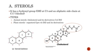  It has a hydroxyl group (OH) at C3 and an aliphatic side chain at
C17 (Alcohol)
 TYPES
1. Animal sterols :cholesterol and its derivatives (vit D3)
2. Plant sterols : ergosterol (pro vit D2) and its derivatives
 