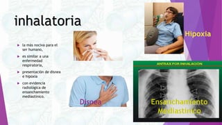 inhalatoria
 la más nociva para el
ser humano,
 es similar a una
enfermedad
respiratoria,
 presentación de disnea
e hip...