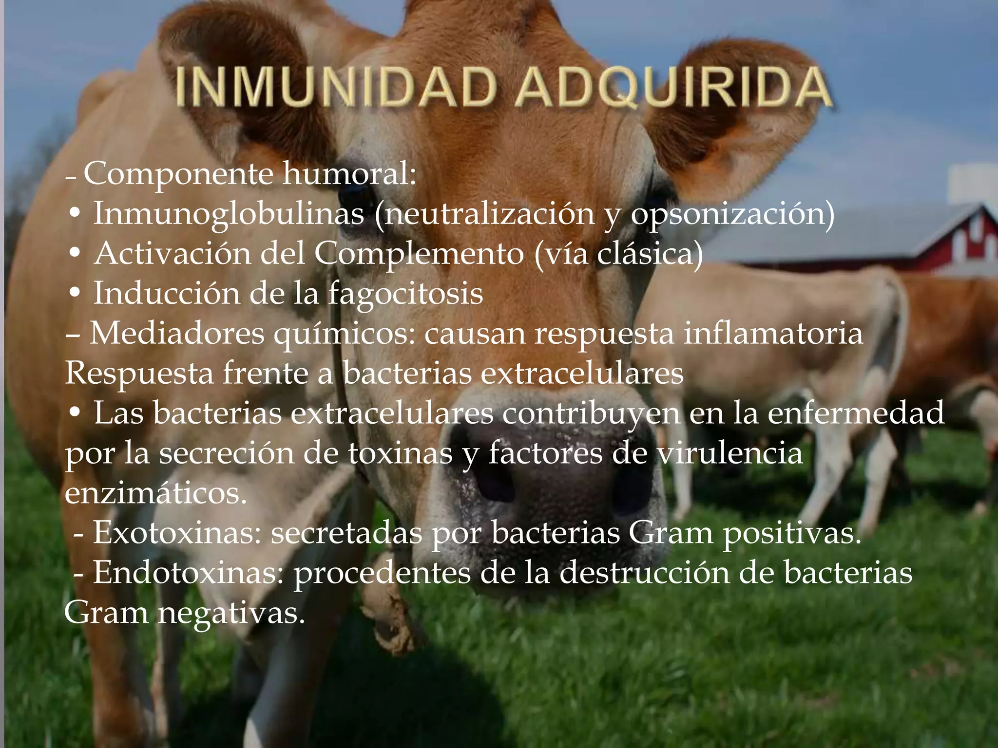 carbunco sintomatico - inmunologia | PPTX